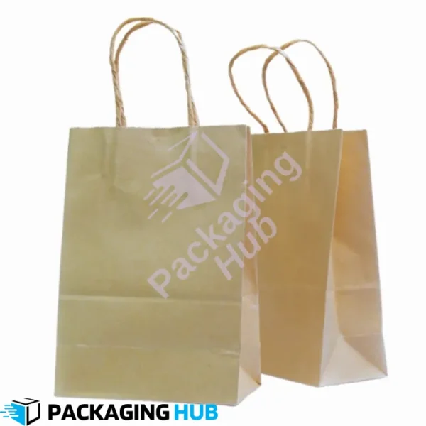 Kraft Paper Bag with Twisted Rope Handle